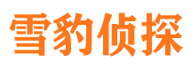 湖州外遇出轨调查取证